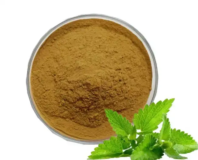 Where to Buy High-Quality Melissa Officinalis Extract?